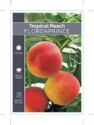 Picture of FRUIT PEACH TROPICAL FLORDAPRINCE                                                                                                                     