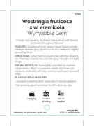 Picture of WESTRINGIA WYNYABBIE GEM                                                                                                                              
