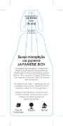 Picture of BUXUS MICROPHYLLA VAR JAPONICA JAPANESE BOX                                                                                                           