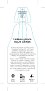 Picture of FESTUCA GLAUCA BLUE GRASS                                                                                                                             