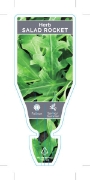 Picture of HERB SALAD ROCKET (Eruca vesicaria)                                                                                                                   