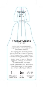 Picture of HERB THYME (Thymus vulgaris)                                                                                                                          