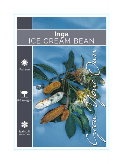 Picture of INGA SP. ICE CREAM BEAN                                                                                                                               