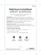 Picture of HALIMIUM LASIANTHUM                                                                                                                                   