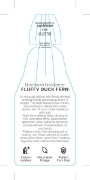 Picture of FERN BLECHNUM FLUFFY DUCK                                                                                                                             