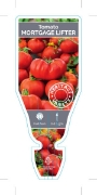 Picture of VEGETABLE TOMATO HEIRLOOM MORTGAGE LIFTER (Lycopersicon esculentum)                                                                                   