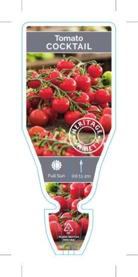 Picture of VEGETABLE TOMATO HEIRLOOM COCKTAIL (Lycopersicon esculentum)                                                                                          