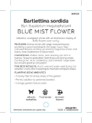 Picture of BARTLETTINA SORDIDA                                                                                                                                   