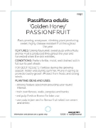 Picture of FRUIT PASSIONFRUIT GOLDEN HONEY                                                                                                                       