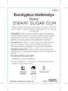 Picture of EUCALYPTUS CLADOCALYX NANA DWARF SUGAR GUM                                                                                                            