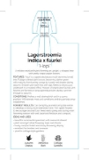 Picture of LAGERSTROEMIA HOPI                                                                                                                                    
