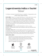 Picture of LAGERSTROEMIA SIOUX Jumbo Tag                                                                                                                         