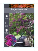 Picture of LAGERSTROEMIA ZUNI Jumbo Tag                                                                                                                          