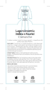 Picture of LAGERSTROEMIA COMANCHE                                                                                                                                