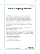 Picture of BAMBOO NON CLUMPING (MIXED PICTURE)                                                                                                                   