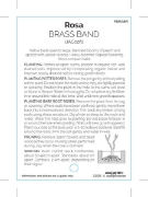 Picture of ROSE BRASS BAND (FL)