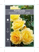 Picture of ROSE HONEY PERFUME (FL)