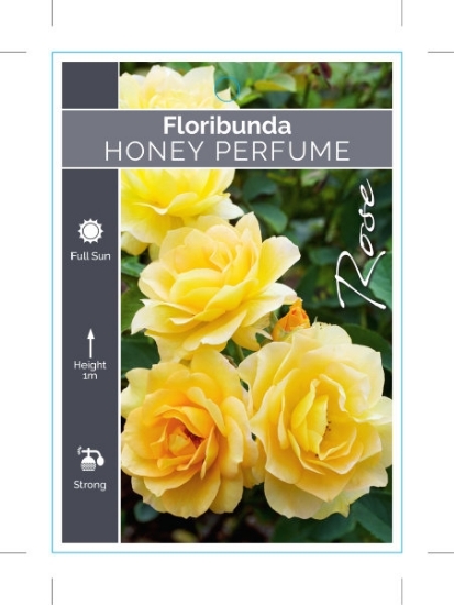 Picture of ROSE HONEY PERFUME (FL)