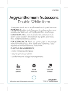 Picture of ARGYRANTHEMUM FRUTESCENS DOUBLE WHITE                                                                                                                 