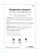 Picture of MYOPORUM VISCOSUM                                                                                                                                     