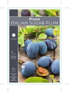 Picture of FRUIT PRUNE ITALIAN SUGAR PLUM                                                                                                                        