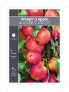 Picture of MALUS DOMESTICA WANDIN PRIDE