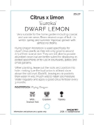 Picture of FRUIT CITRUS LEMON EUREKA DWARF