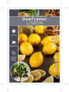 Picture of FRUIT CITRUS LEMON LISBON DWARF