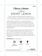 Picture of FRUIT CITRUS LEMON LISBON DWARF