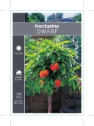 Picture of FRUIT NECTARINE DWARF Prunus persica                                                                                                                  