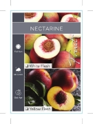 Picture of FRUIT NECTARINE YELLOW OR WHITE FLESH (Tick Box)