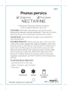 Picture of FRUIT NECTARINE YELLOW OR WHITE FLESH (Tick Box) Jumbo Tag                                                                                            