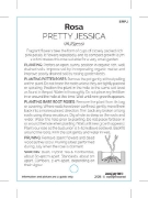 Picture of ROSE PRETTY JESSICA (English)                                                                                                                         