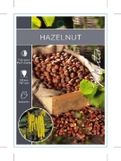 Picture of NUT HAZELNUT                                                                                                                                          
