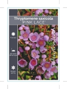 Picture of THRYPTOMENE SAXICOLA PINK LACE