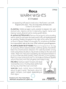 Picture of ROSE WARM WISHES (HT)                                                                                                                                 