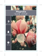 Picture of MAGNOLIA SAN JOSE                                                                                                                                     