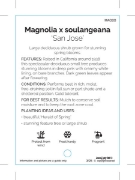 Picture of MAGNOLIA SAN JOSE                                                                                                                                     