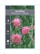Picture of GREVILLEA FROSTY PINK                                                                                                                                 
