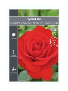 Picture of ROSE AUSTRALIAN CENTENARY OF FEDERATION (HT)                                                                                                          