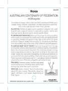 Picture of ROSE AUSTRALIAN CENTENARY OF FEDERATION (HT)                                                                                                          