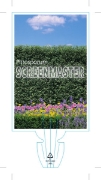 Picture of PITTOSPORUM SCREENMASTER (Stik)