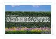 Picture of PITTOSPORUM SCREENMASTER (Tag)