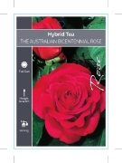 Picture of ROSE THE AUSTRALIAN BICENTIANNIAL ROSE (HT)