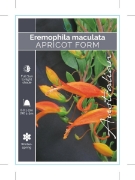 Picture of EREMOPHILA MACULATA APRICOT FORM                                                                                                                      
