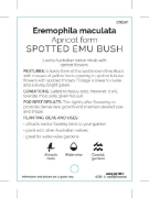 Picture of EREMOPHILA MACULATA APRICOT FORM                                                                                                                      