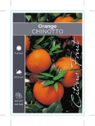 Picture of FRUIT CITRUS ORANGE CHINOTTO                                                                                                                         