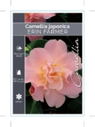 Picture of CAMELLIA ERIN FARMER                                                                                                                                  