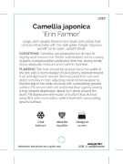 Picture of CAMELLIA ERIN FARMER                                                                                                                                  