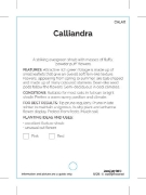 Picture of CALLIANDRA MIXED PICTURE (TICK BOXES)